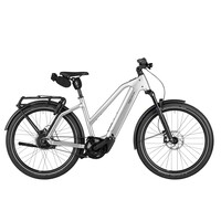 Charger5 Mixte Vario 800WH Kiox 500 49cm - Magnesium
