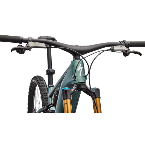 Specialized Specialized S-Works Turbo Levo R | Electric Bike