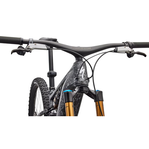 Specialized Specialized S-Works Turbo Levo R | Electric Bike