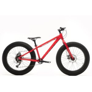 Moose Bicycle Fat Moose 24